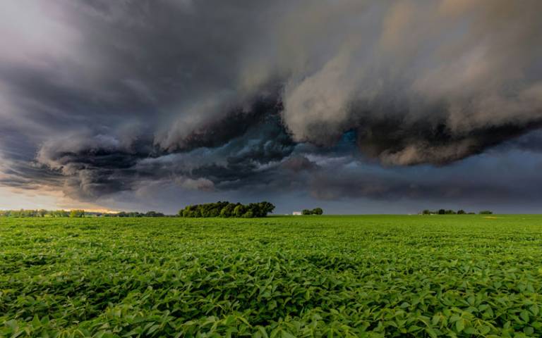 Storm clouds - climate change