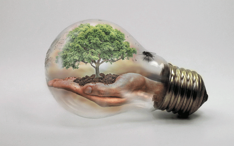 Image of a bulb in the palm of a hand