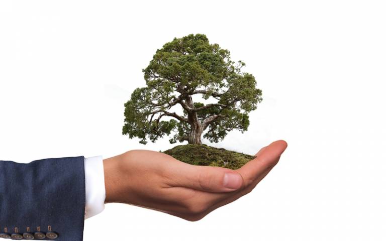 Image of a hand holding an image of a tree