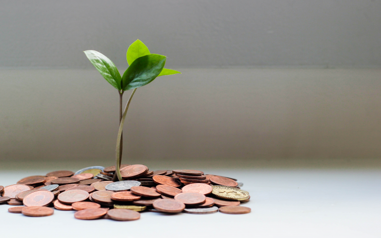 Image of a plant growing from coins