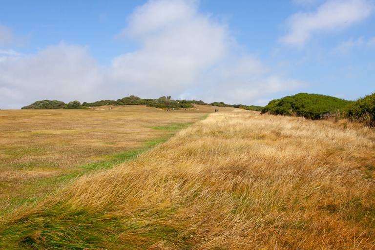 A grassy field in Hastings