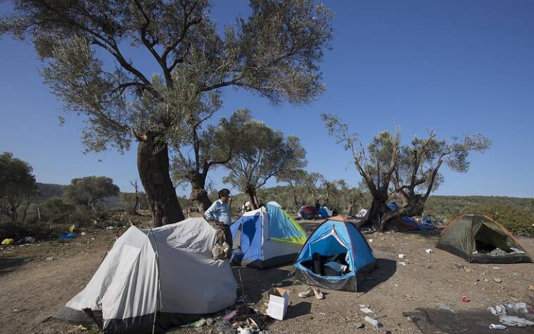Tents in an outdoor refugee camp in Lesvos, Greece, with trees in the background