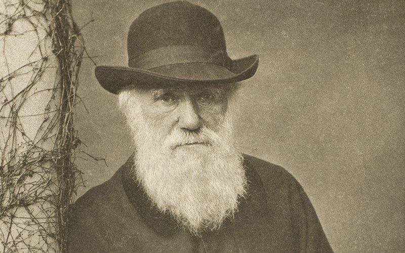 Portrait of Charles Darwin towards the end of his life, by Elliot and Fry
