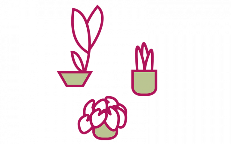 Graphic representing plants