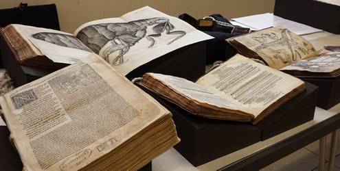 Rare books from UCL Special Collections