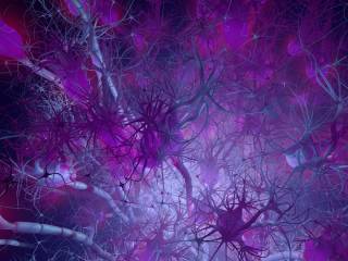 Active neuron cells in a synapse network