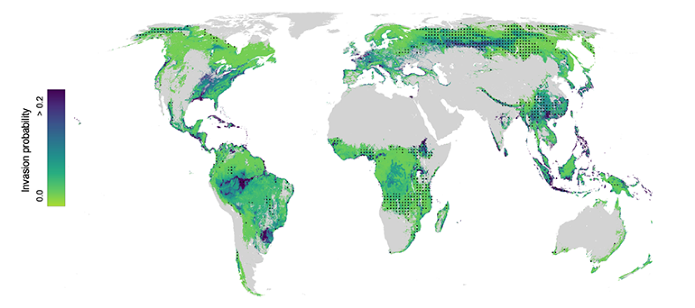 A graph showing levels of tree invasions across the globe.