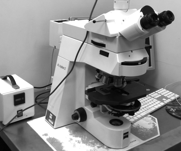 Zeiss Axioplan Widefield Fluorescence Microscope