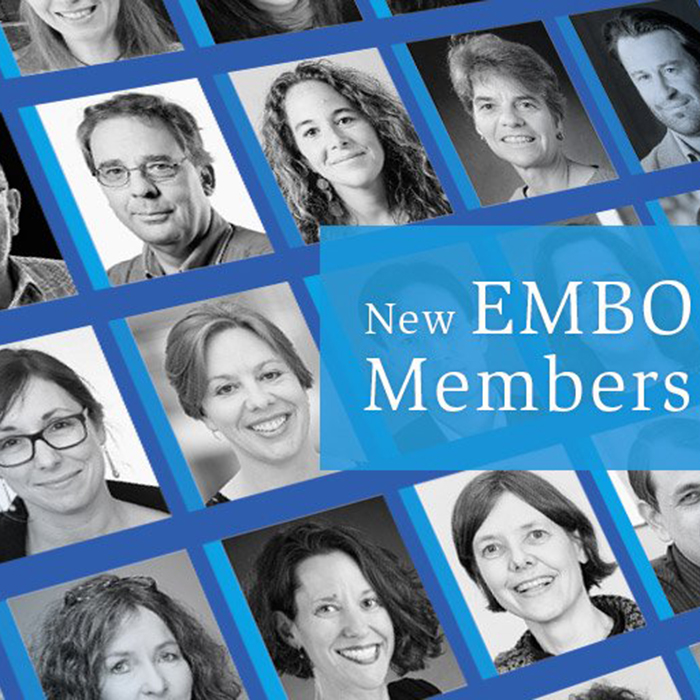 Newly appointed EMBO members  2019