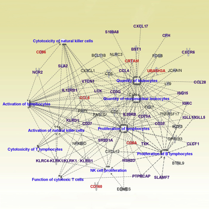 Network of gene expression profiles in Canine Transmissible Venereal Tumour