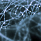 Super resolution of microtubules