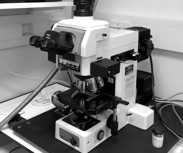Bio-Rad Radiance Confocal Microscope