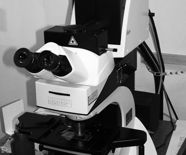 Leica SPE & SPE2 Confocal Microscopes
