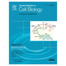 Cover of Current Opinions in Cell Biology journal