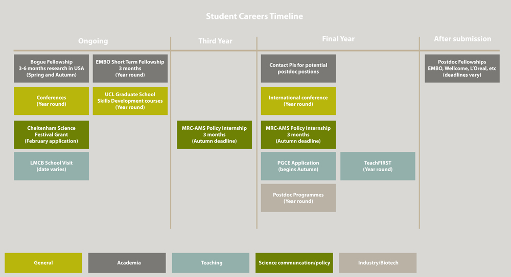 Graphic representation of student careers timeline