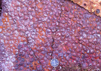 BioGeochemistry -Stromatolitic Iron Formation