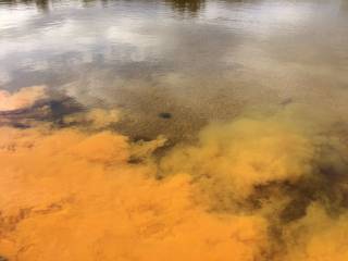 photo of ochre saltburn mine water treatment scheme in Middlesborough