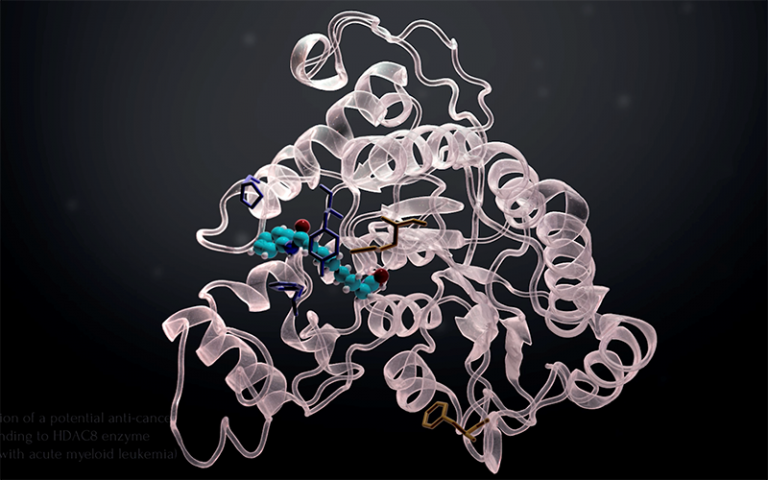 A snapshot from a computer simulation shows how drugs act by blocking active sites in proteins