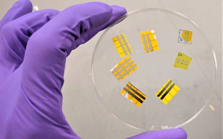 Image of OLEDs in a petri dish. Credit: Barsotti – Italian Institute of Technology