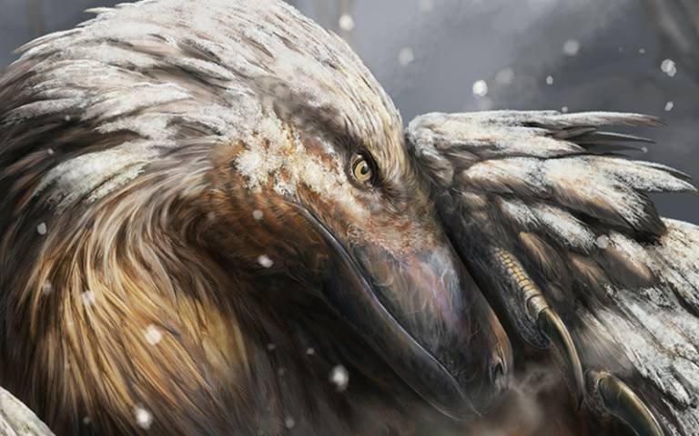 Artist’s impression of a dromaeosaur, a type of feathered theropod