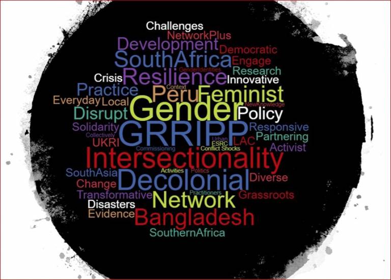 GRRIPP word cloud, taken from IRDR website