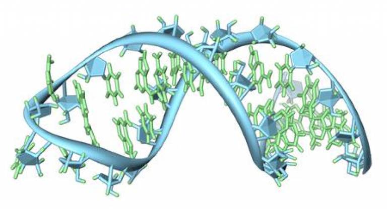Artist's impression of an RNA strand