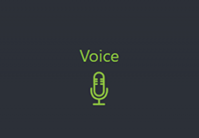 Image of Voice icon