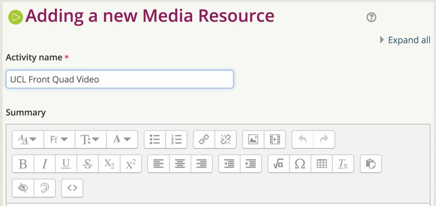 Add details to the activity in Moodle