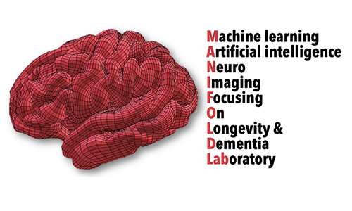 Manifold Lab logo with a brain