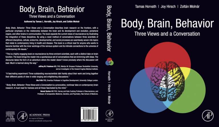 Book cover showing an illustration of a human brain