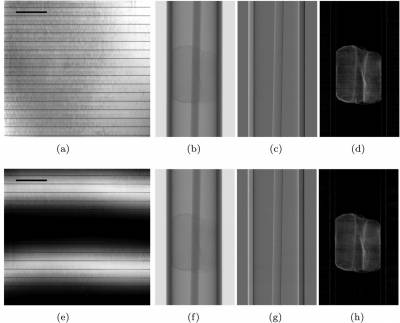 Raw and retrieved X-ray images from Edge Illumination system