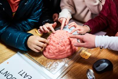 A model of a human brain with children poking it with their fingers!