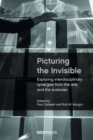 Cover of the book Picturing the Invisible: Exploring interdisciplinary synergies from the arts and the sciences