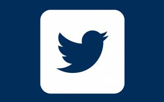 white twitter logo on blue background