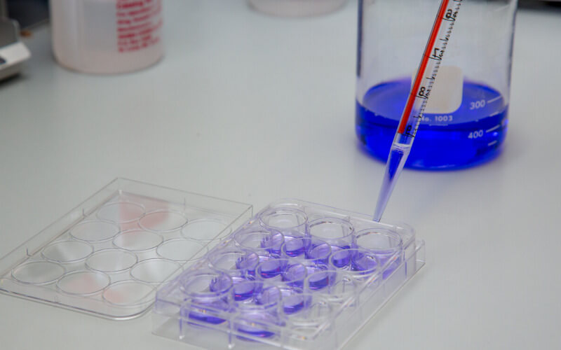Using a pipette in one of the Cancer Institute labs