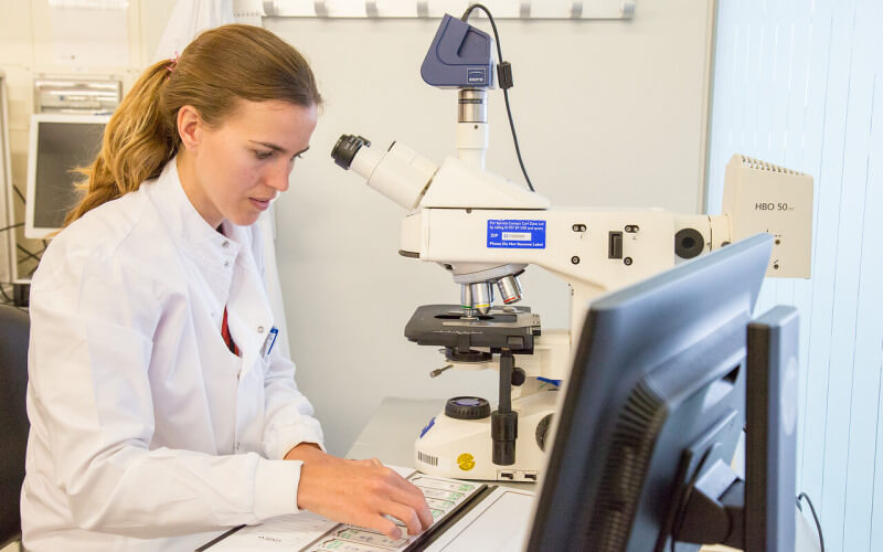 A member of staff examines a sample in the Cancer Institute labs
