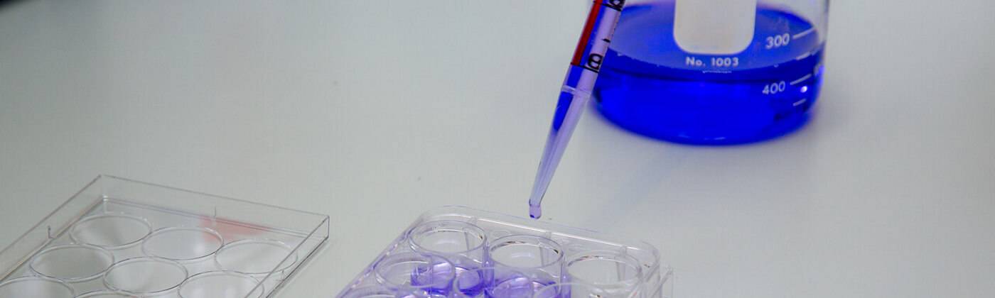 Use of a pipette in the UCL Cancer Institute labs