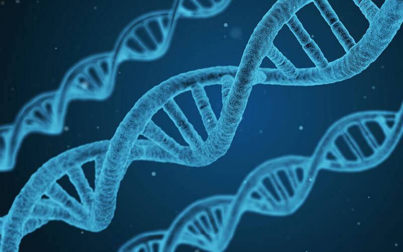 DNA strands in light blue against a dark-blue background