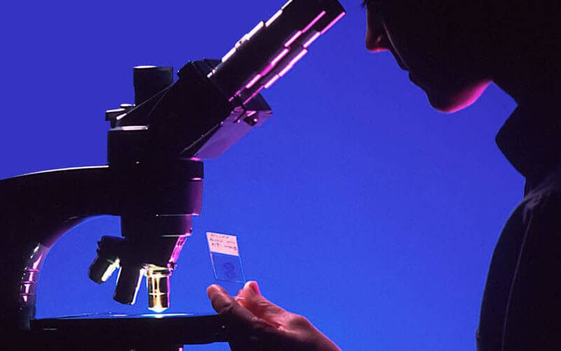 Scientist views a slide for an examination under microscope, against a deep blue background