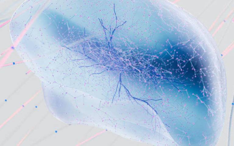 Concept image of a brain surrounding by neurons and connective strands