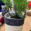 Wool Plant Pot Cover