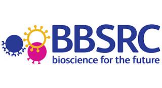 Logo for BBSRC (navy / pink / yellow)