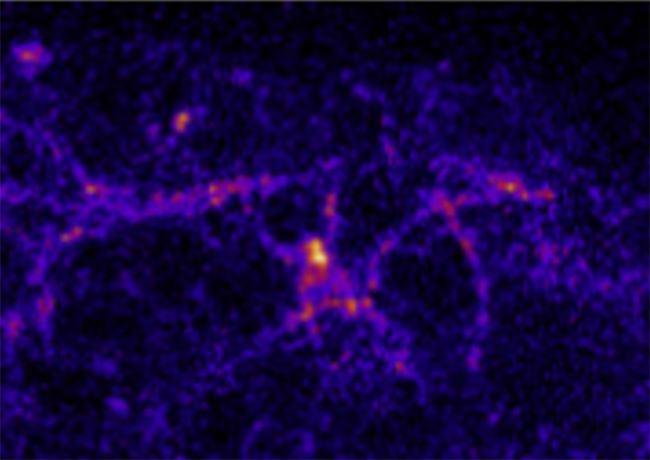 Neurons image