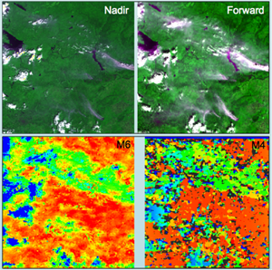 AATSR false colour composites of the nadir and forward together with corresponding stereo-matched smoke, cloud and ground heights [Muller, Fisher and Yerchov, 2010].