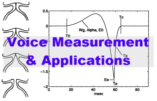 Voice Measurement and applications