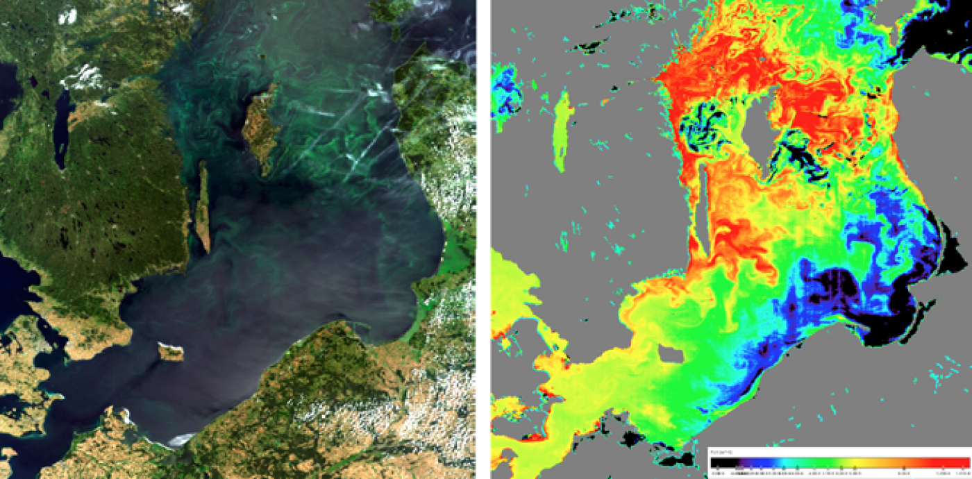 True colour image of an algal bloom spreading in the Baltic Sea on 27-07-2008 derived from MERIS (left), Chlorophyll-a fluorescence image of phytoplankton retrieved using the BEAM FLH algorithm (right).