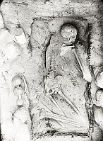 Photo of grave contents