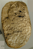 UC 14268, stela found at Abydos, first dynasty