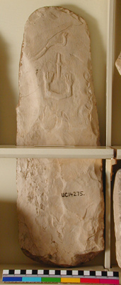 UC 14275, stela found at Abydos, first dynasty
