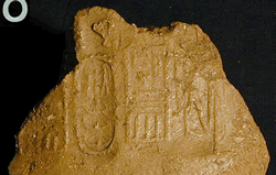 UC 36828, seal impression with the name of king Peribsen